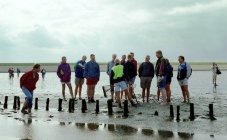 'Wadlopen' in Zeeland